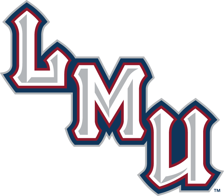 Loyola Marymount Lions 2001-Pres Wordmark Logo v2 iron on transfers for T-shirts